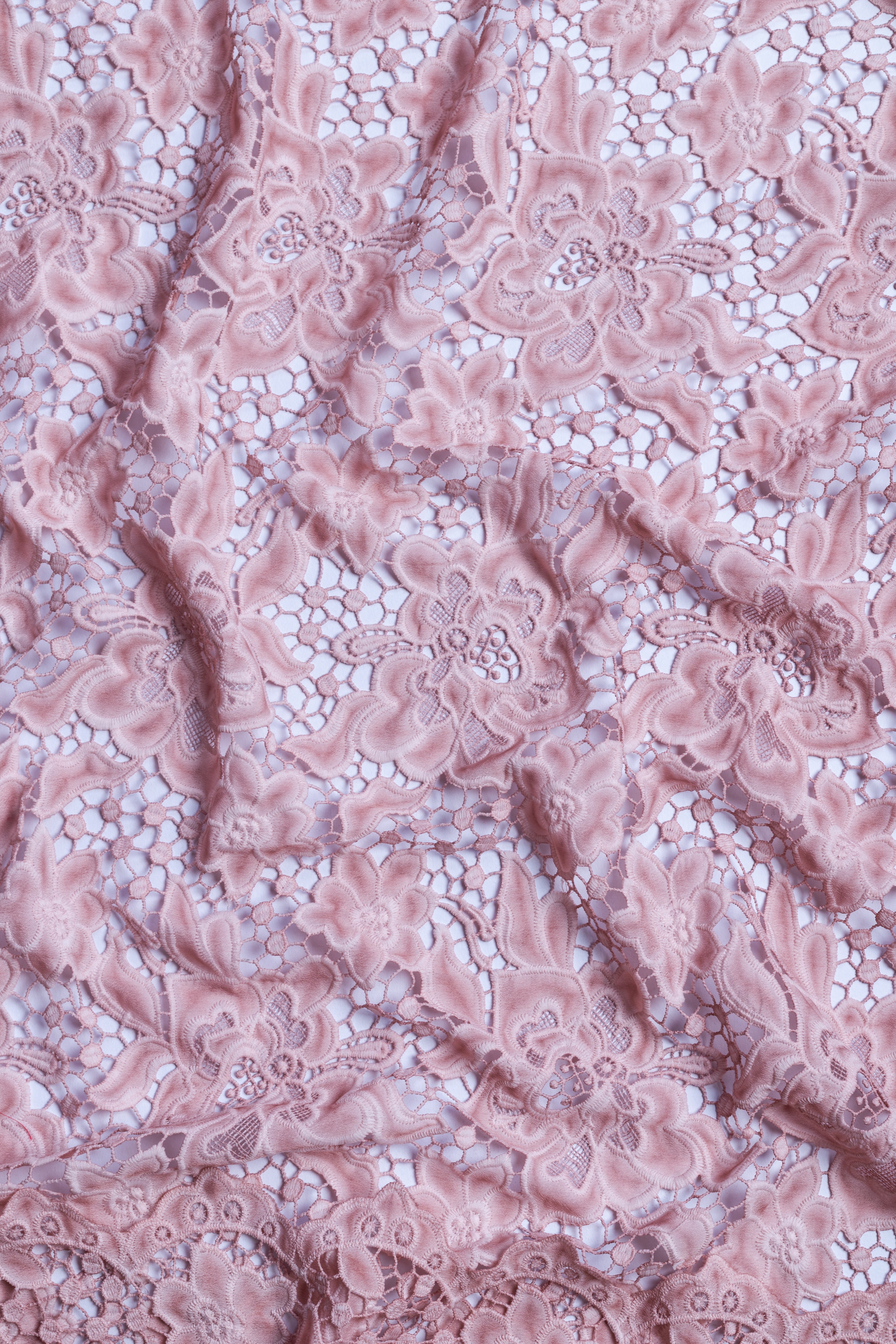 Afreen Blush Pink Lace Fabric