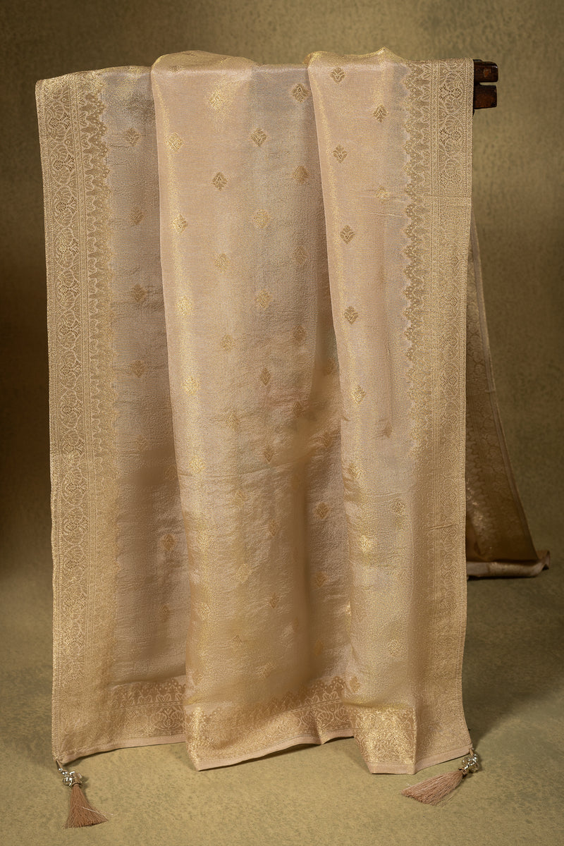 Soft Beige Shimmer Silk Readymade Set