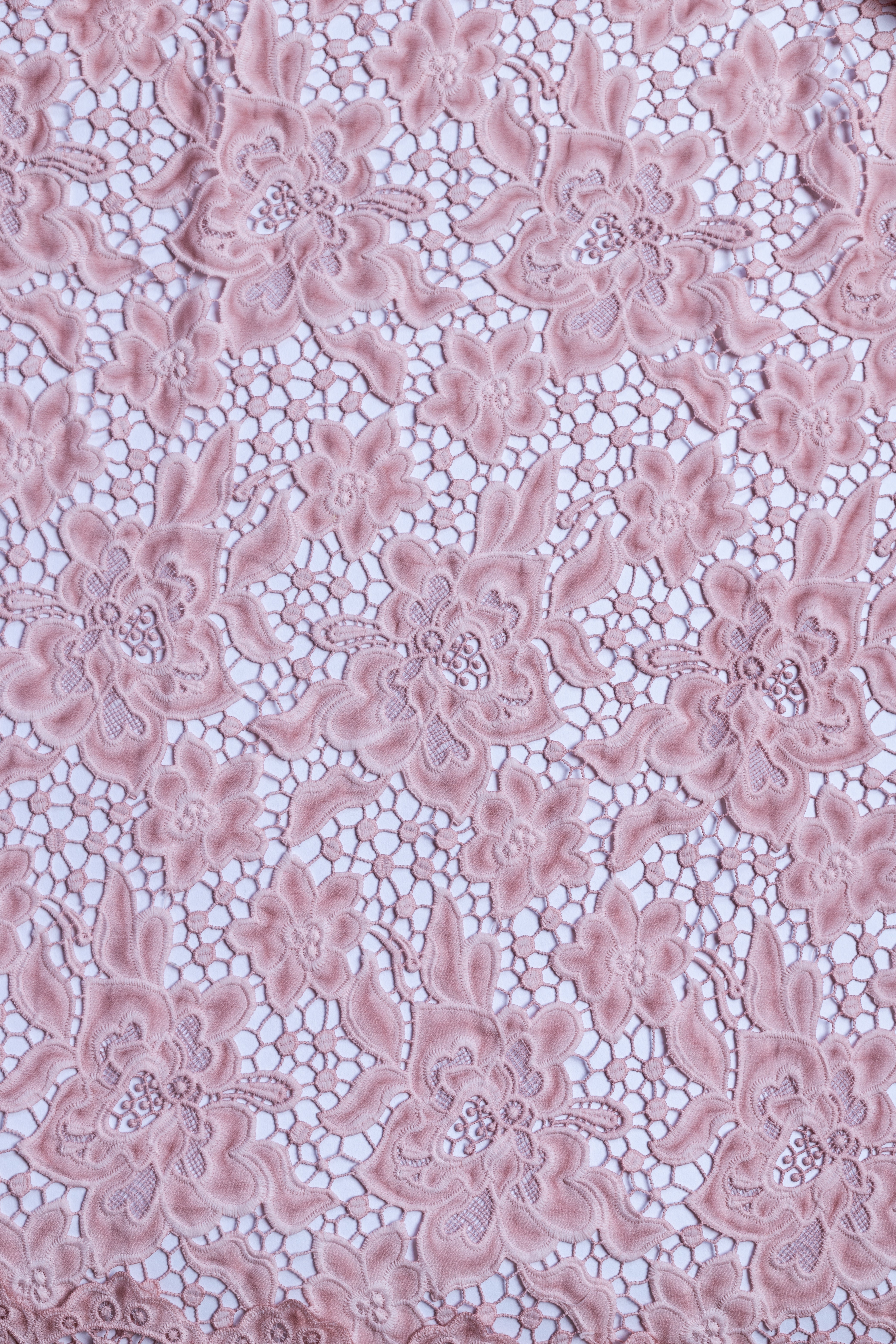 Afreen Blush Pink Lace Fabric